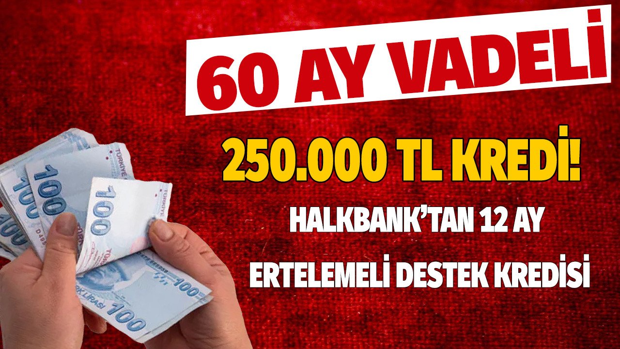 Halkbank'tan 250.000 TL limitli destek kredisi! Kendi işinin patronu olmak isteyenlere Halk Bankası 60 ay vadeli 12 ay ödemesiz dönemli kredi verecek
