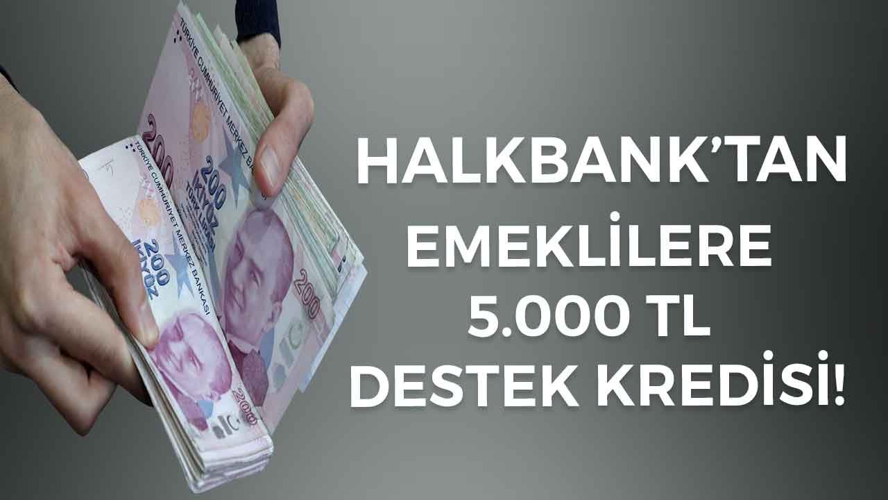 Halkbank'tan milyonlarca emekliye müjdeli haber! 5000 TL destek kredisi başvuru ekranı açıldı