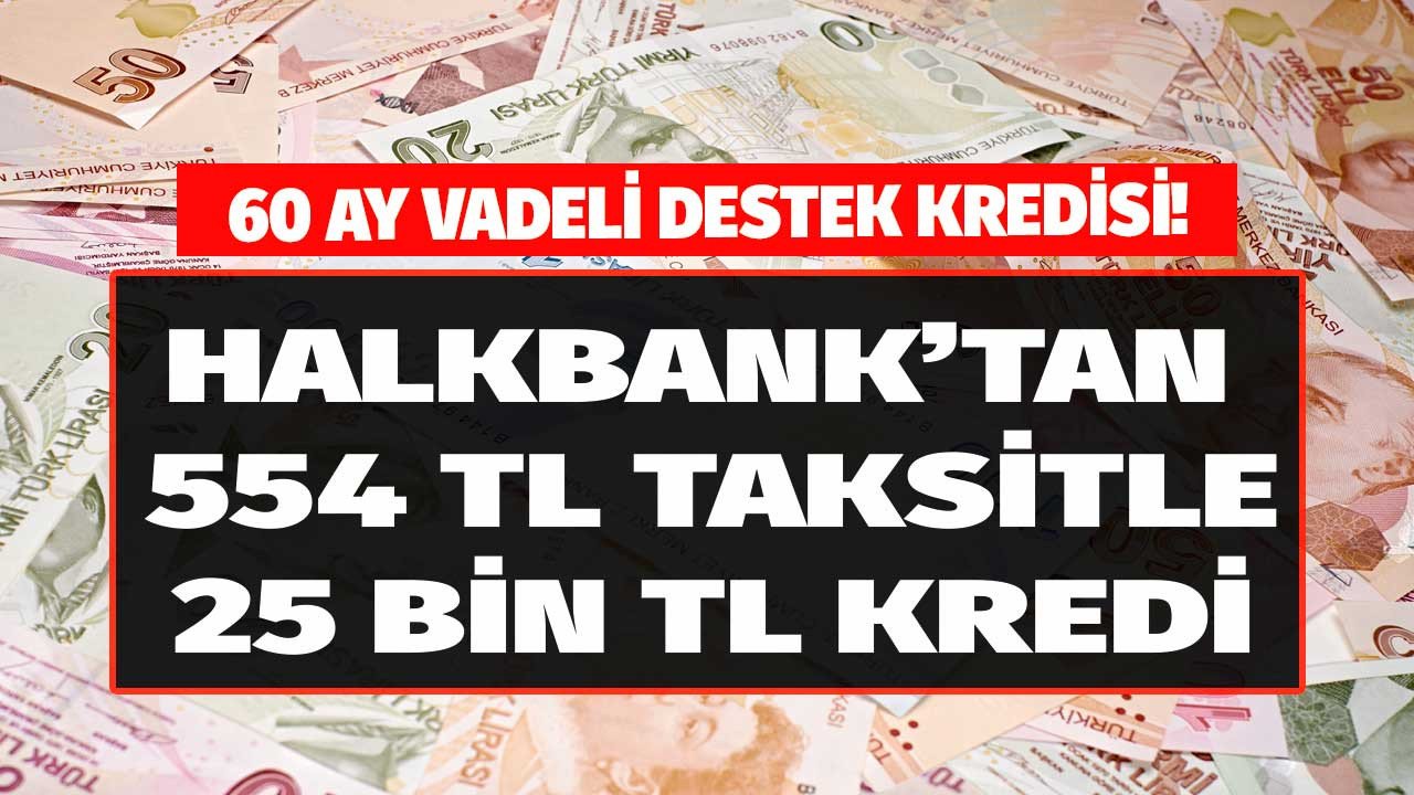 Halkbank 60 ay vadeli destek kredisi başvuru ekranı açıldı aylık 554 TL taksitle 25000 TL kredi