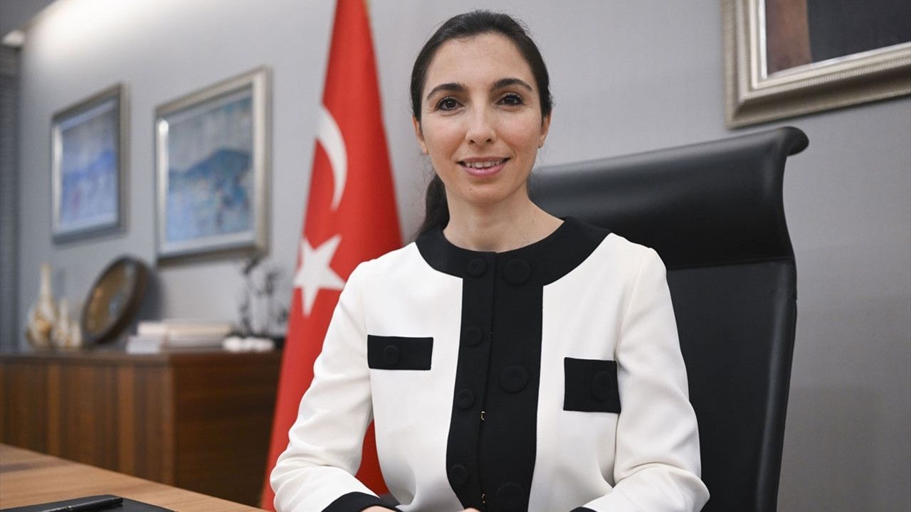 TCMB Bakanı Erkan'da enflasyon açıklaması! Tek haneye indireceğiz